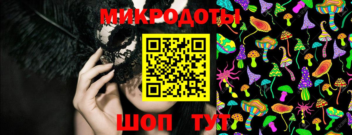 Галлюциногенные грибы Psilocybine cubensis Гагарин
